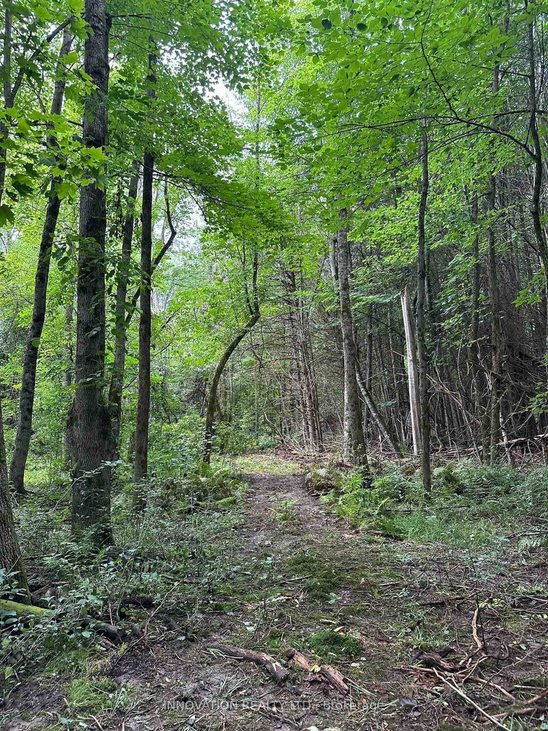 2645 Drummond Concession 7 Road N