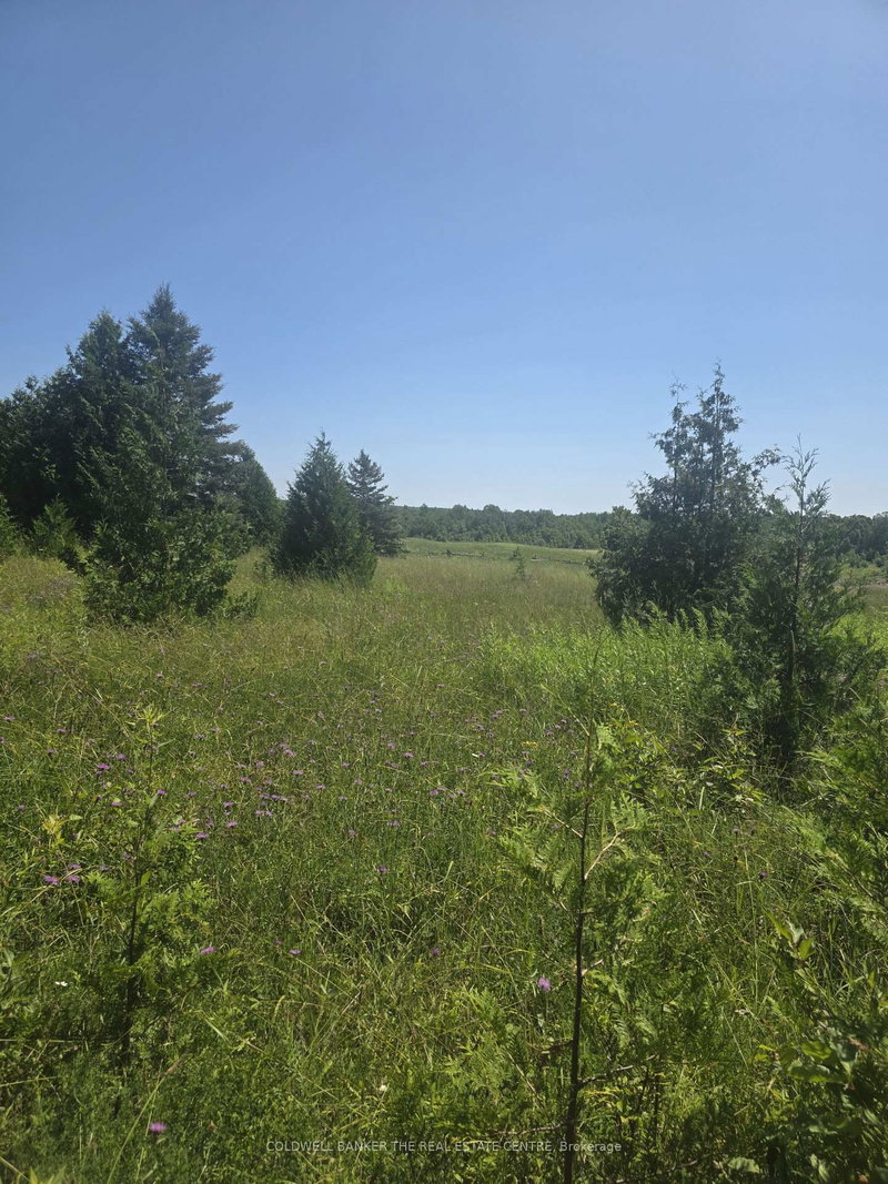 N/A GOVERNMENT RD Acres W W
