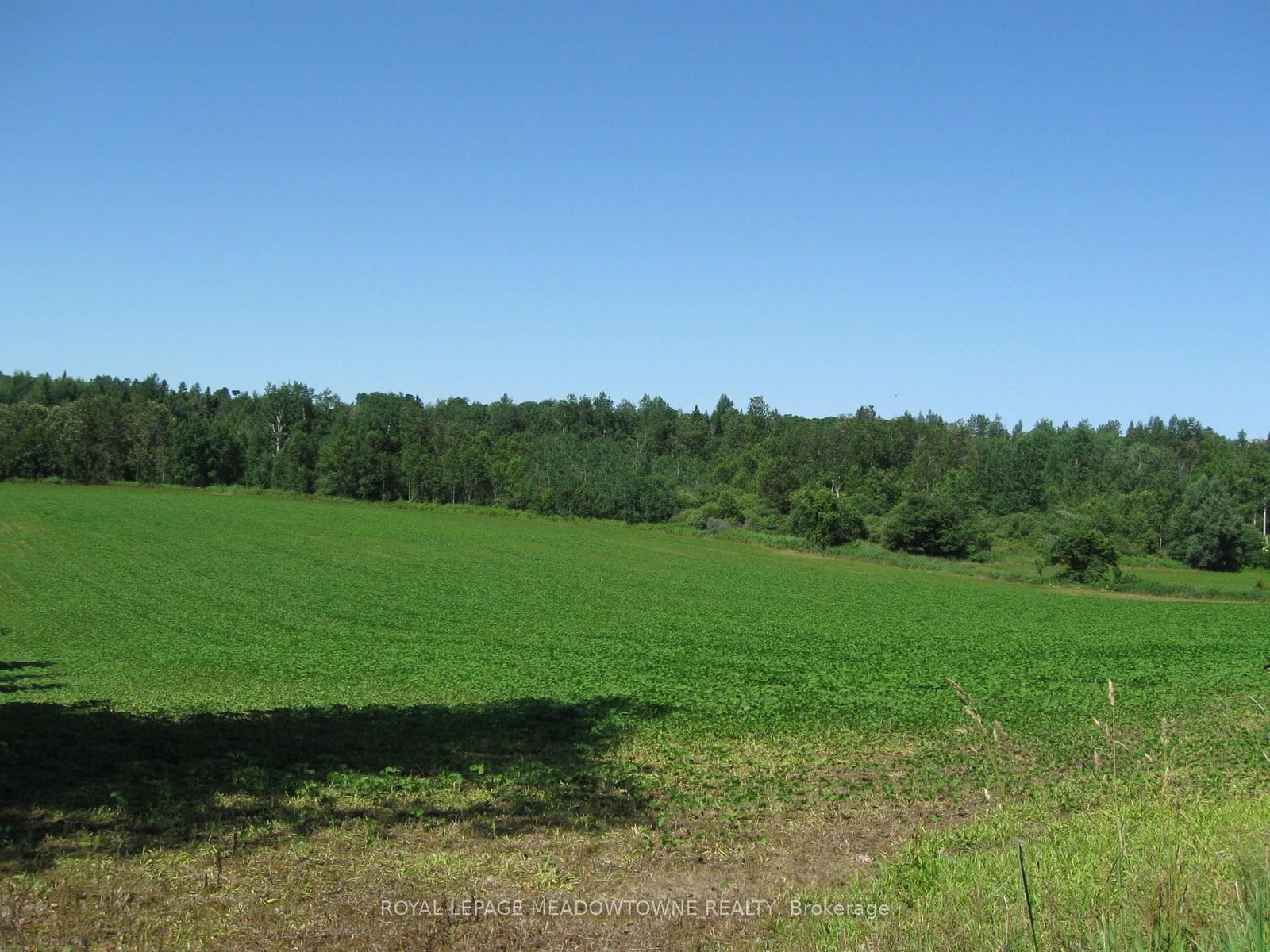 5224 Third Line • Erin, ON photo 21