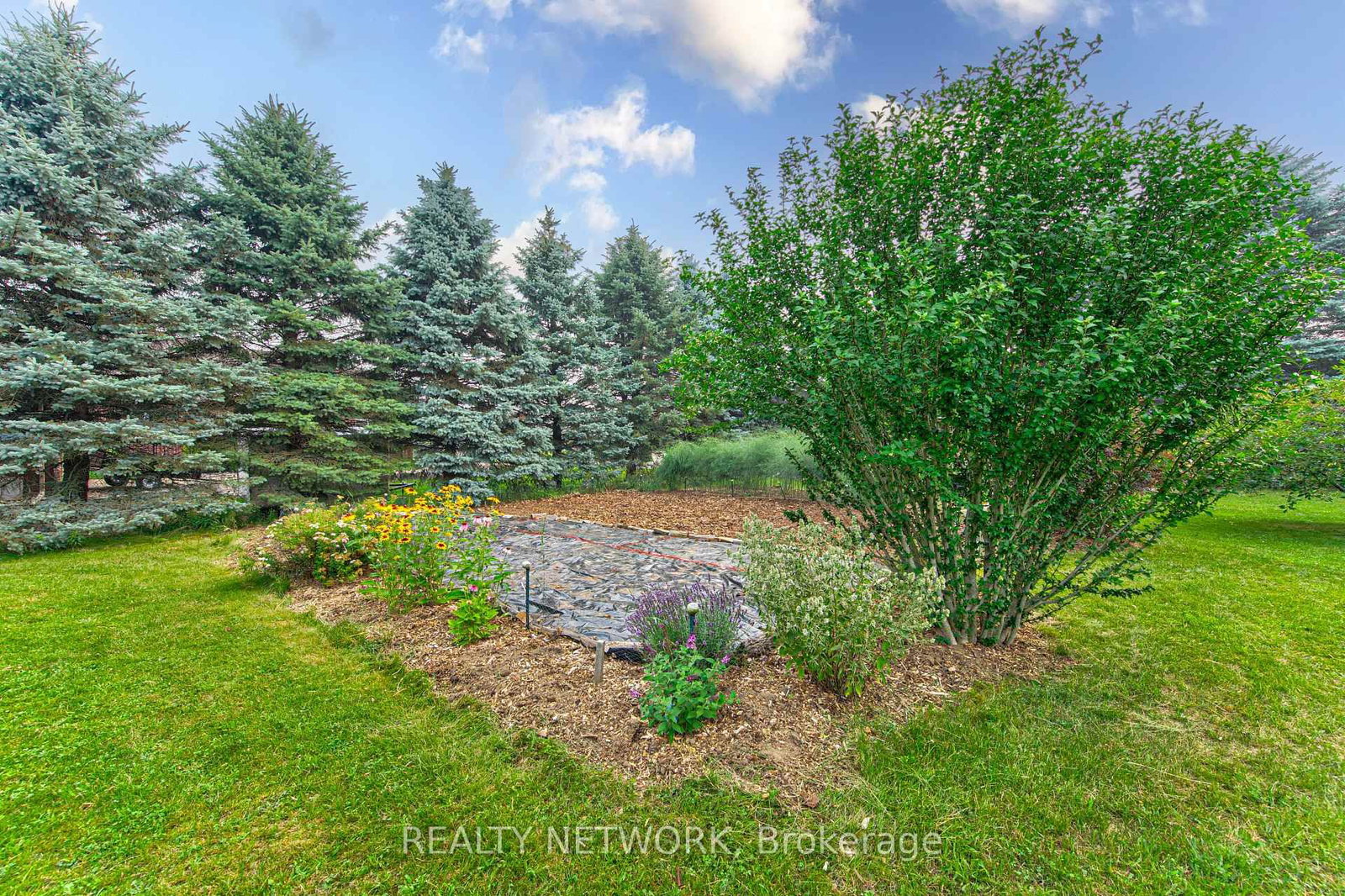 40 Peter Street • Brant, ON photo 39