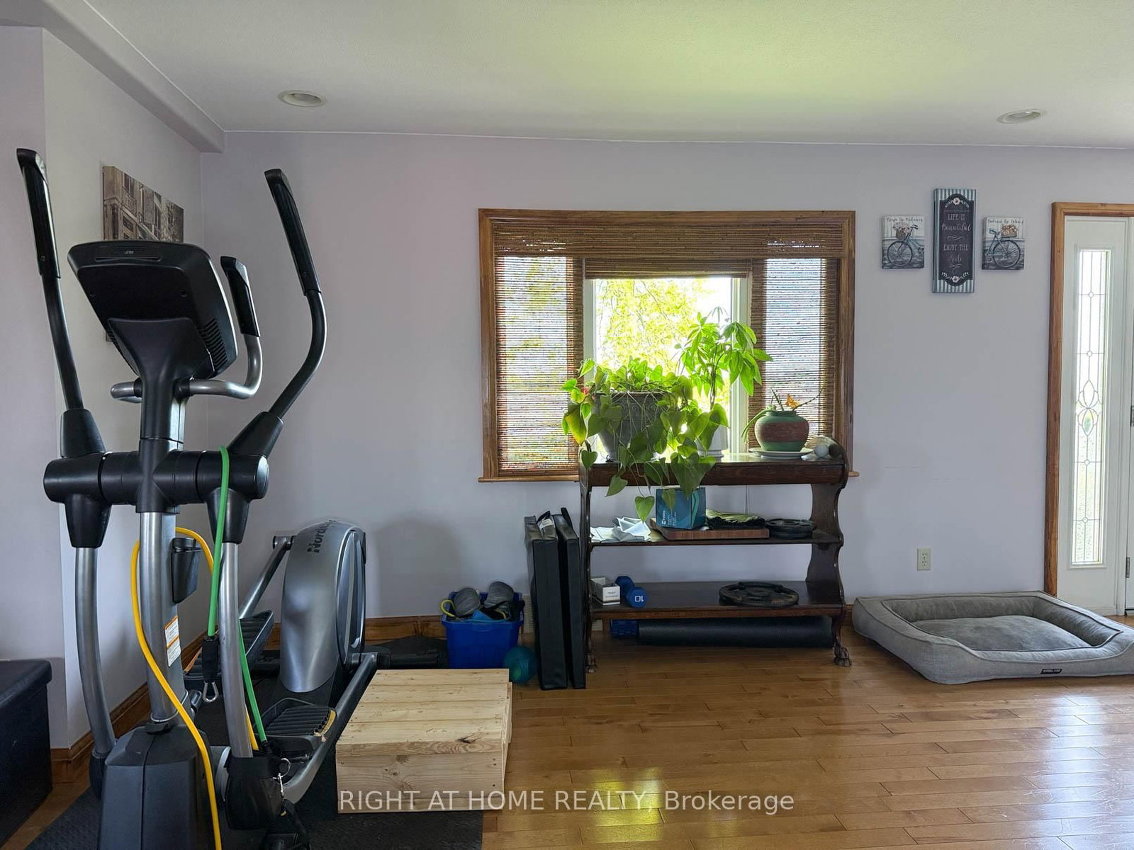 8192 Petrolia Line • Brooke-Alvinston, ON photo 11