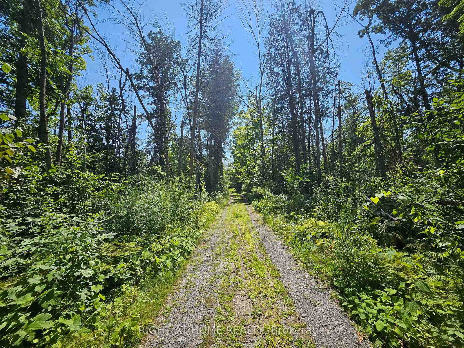0 Shanval Lane • Limoges, ON photo 4