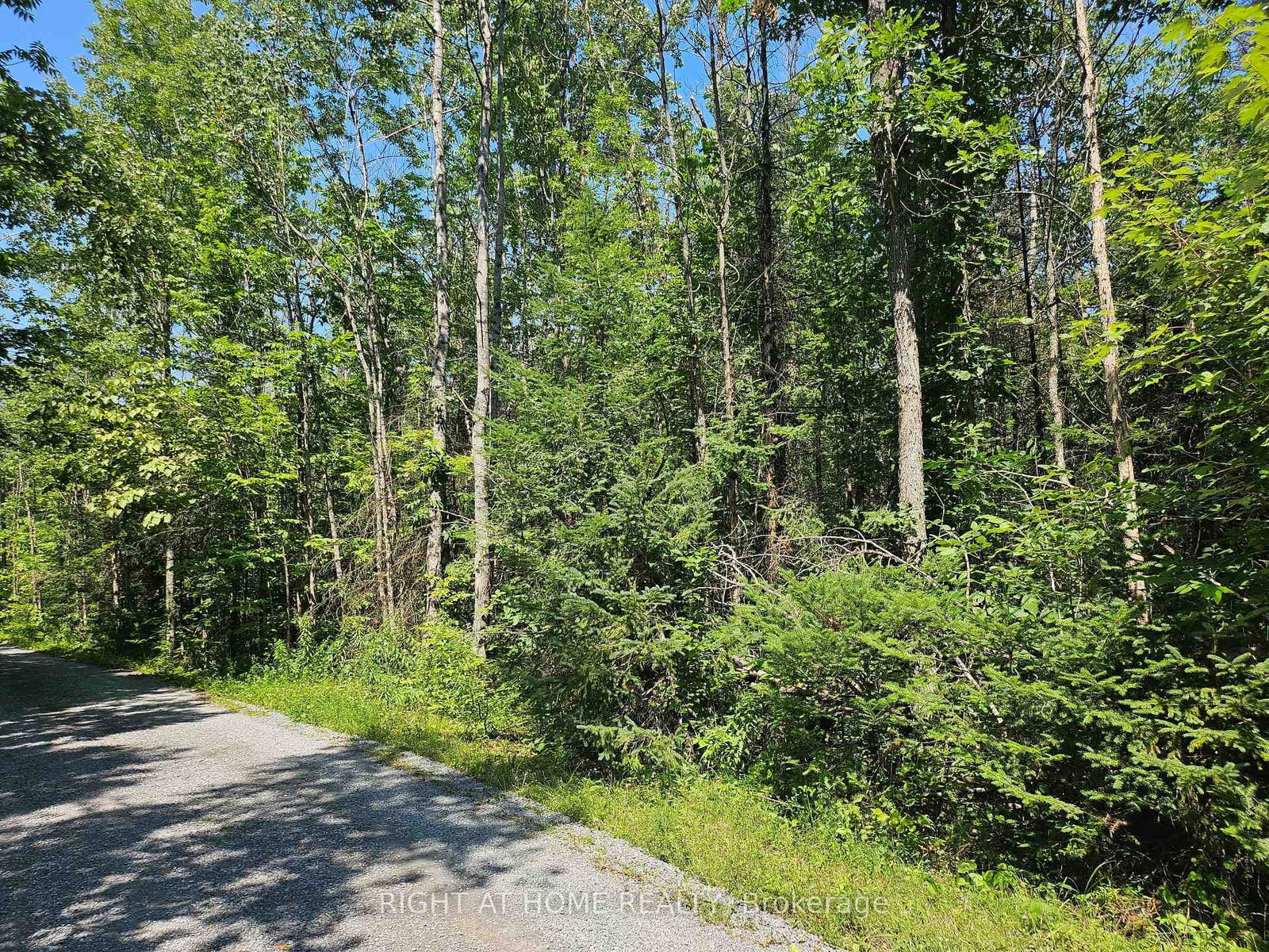 0 Shanval Lane • Limoges, ON photo 8