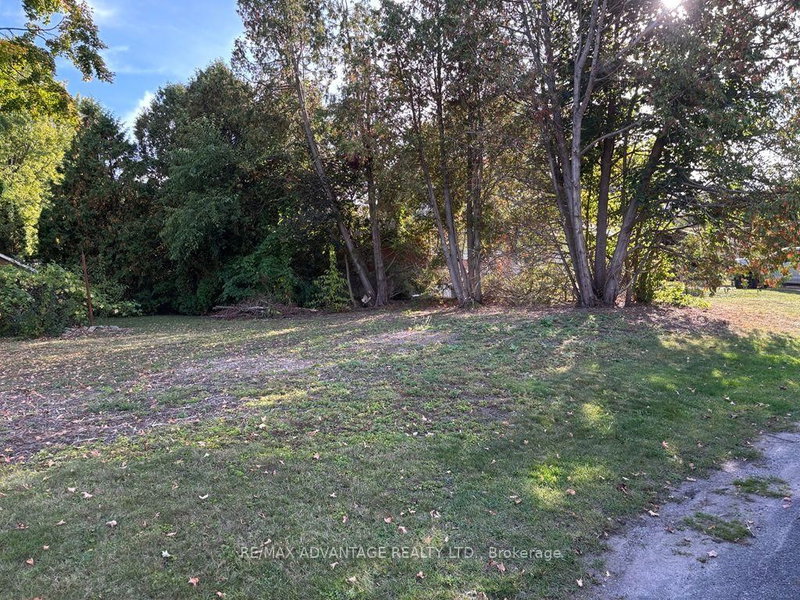 001 Woodbine Street