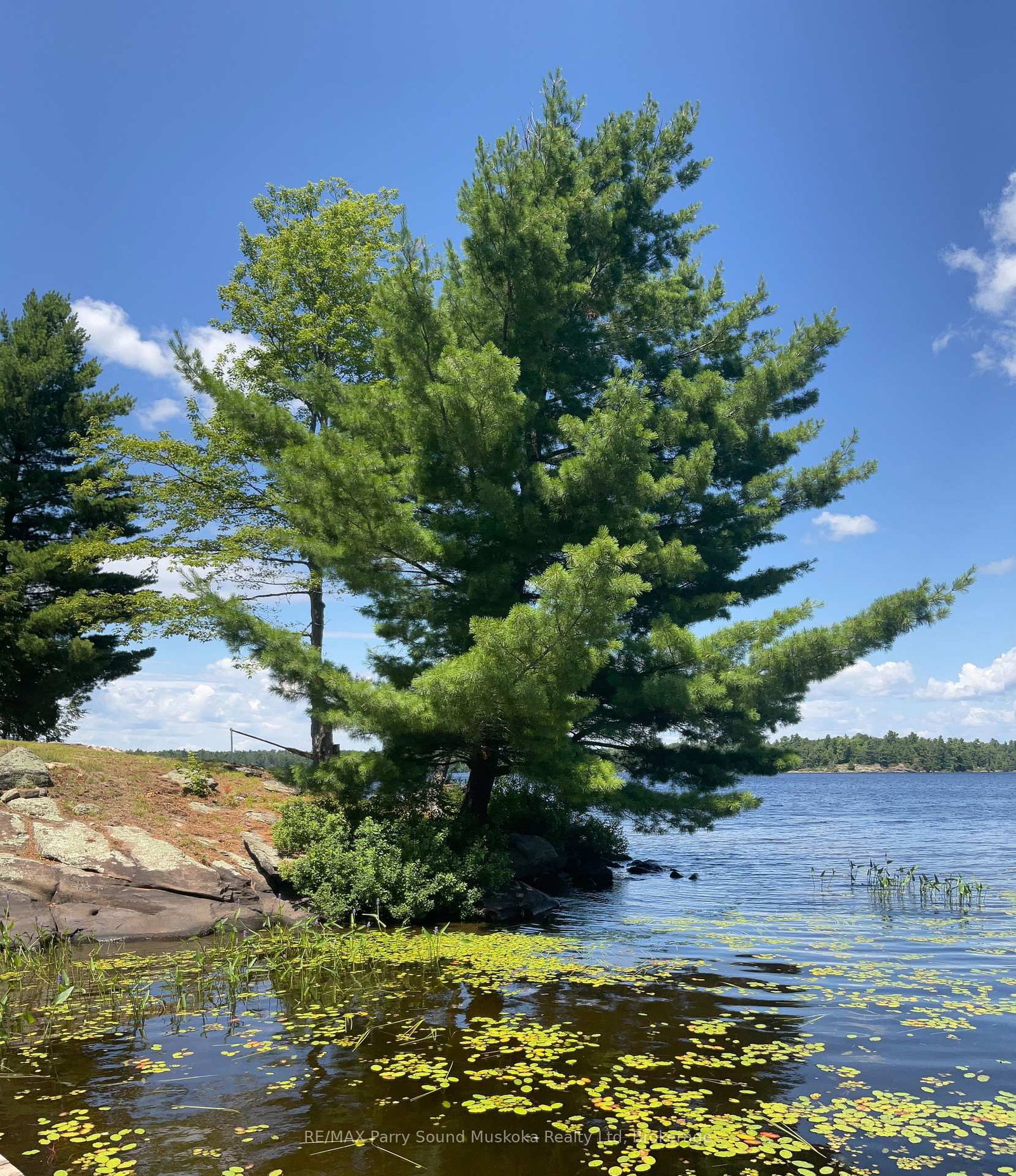 216 Lone Tree Road • Parry Sound Remote Area, ON photo 10