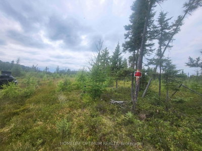 PCL 9194 Revell Township • Kenora, ON photo 3
