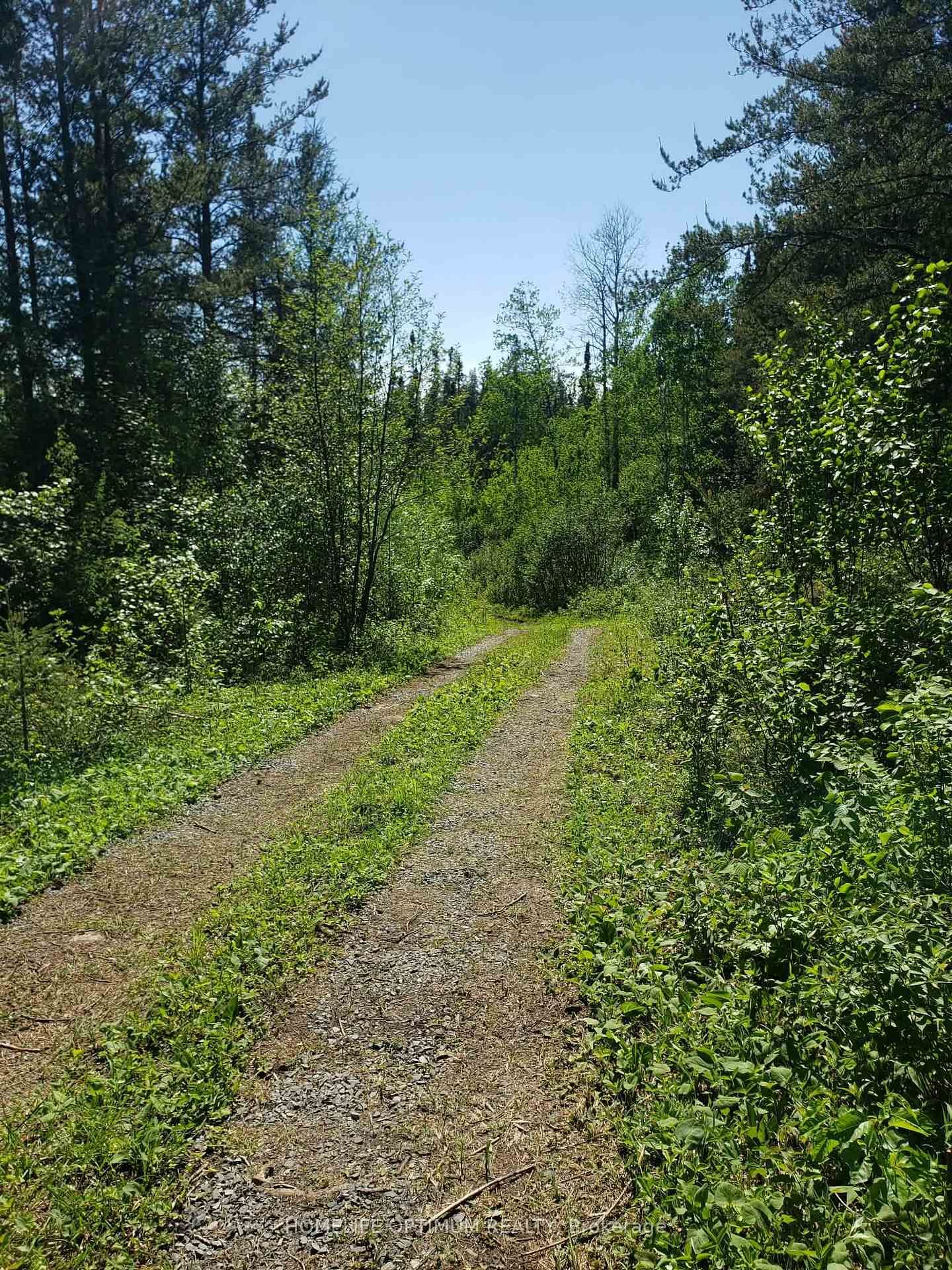 PCL 9194 Revell Township • Kenora, ON photo 6