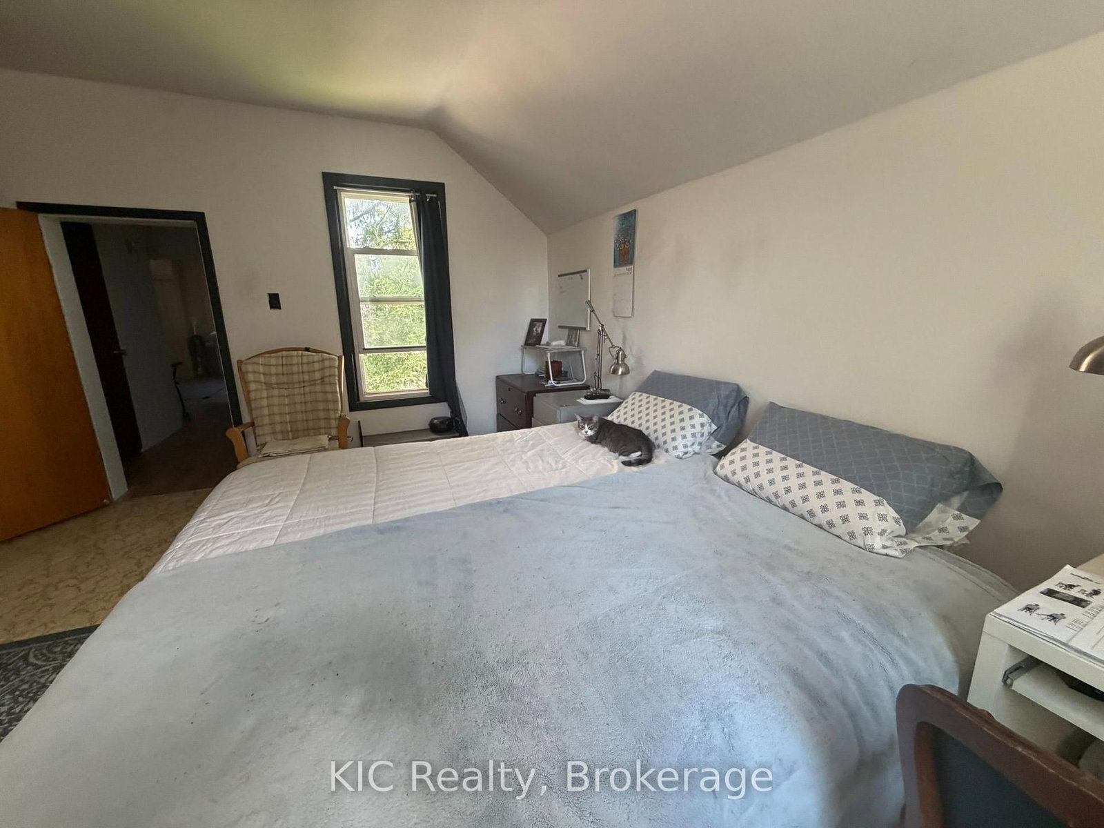 48 George Street E • Havelock-Belmont-Methuen, ON photo 22
