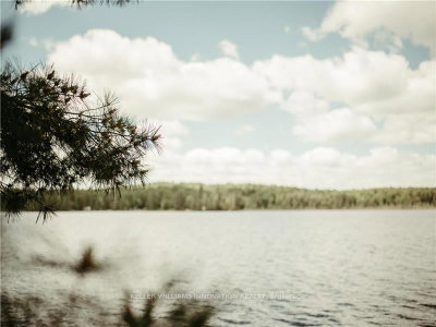 3256 Machar Strong Boundary • Parry Sound Remote Area, ON photo 5
