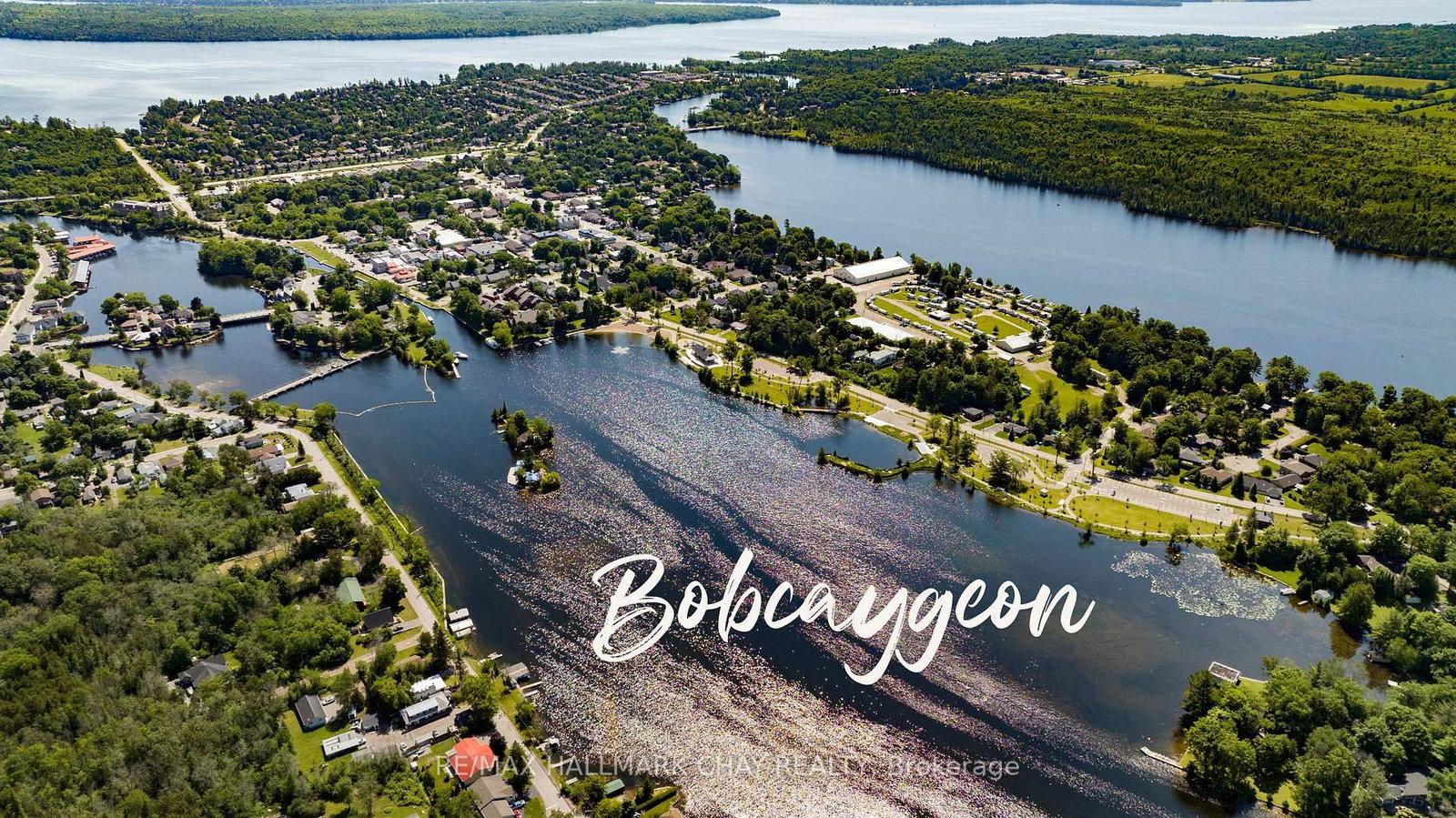64 Hillcroft Way • Kawartha Lakes, ON photo 29