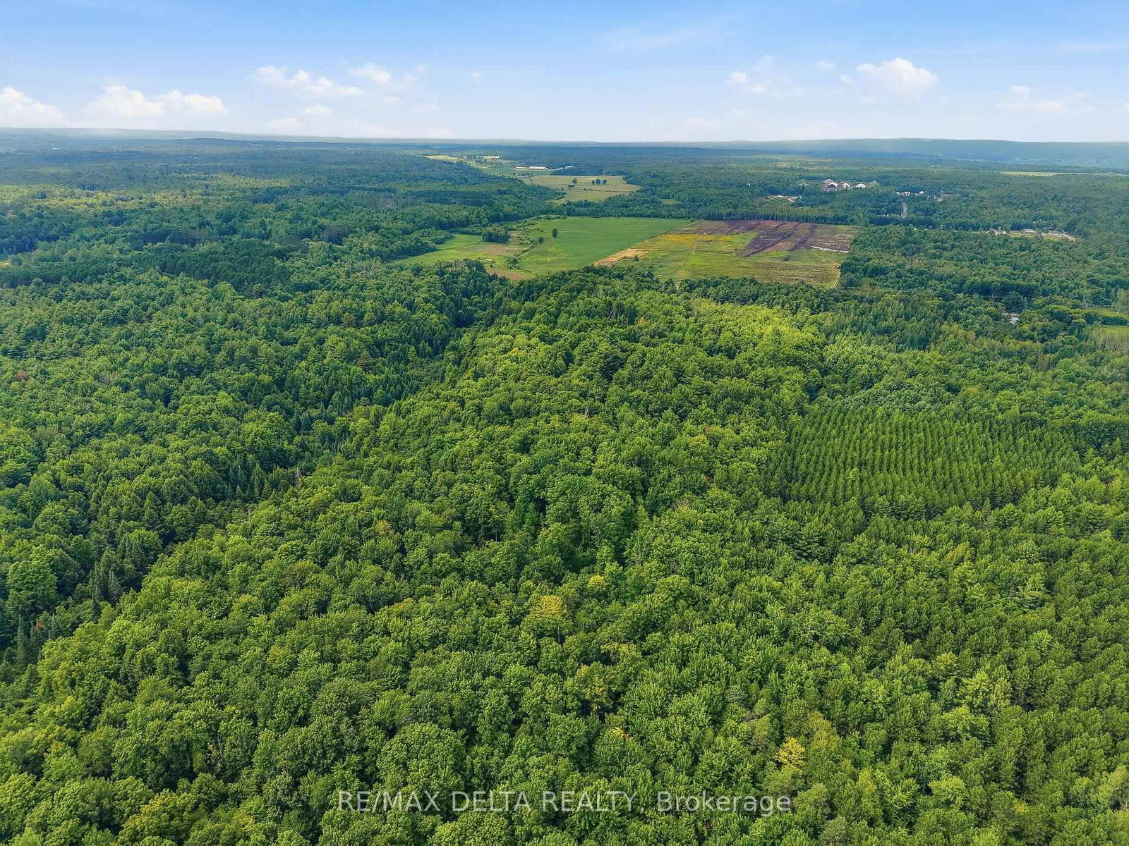 264 Concession 7 Road • Alfred and Plantagenet, ON photo 31