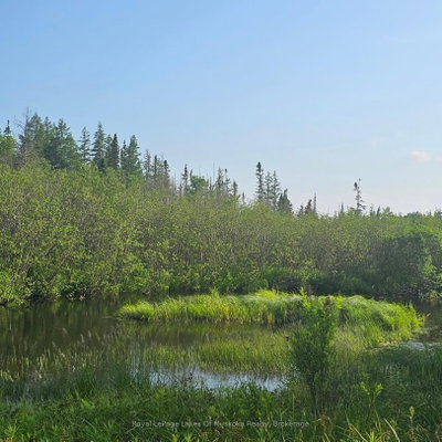 95 Fish Lake Road • Perry, ON photo 3