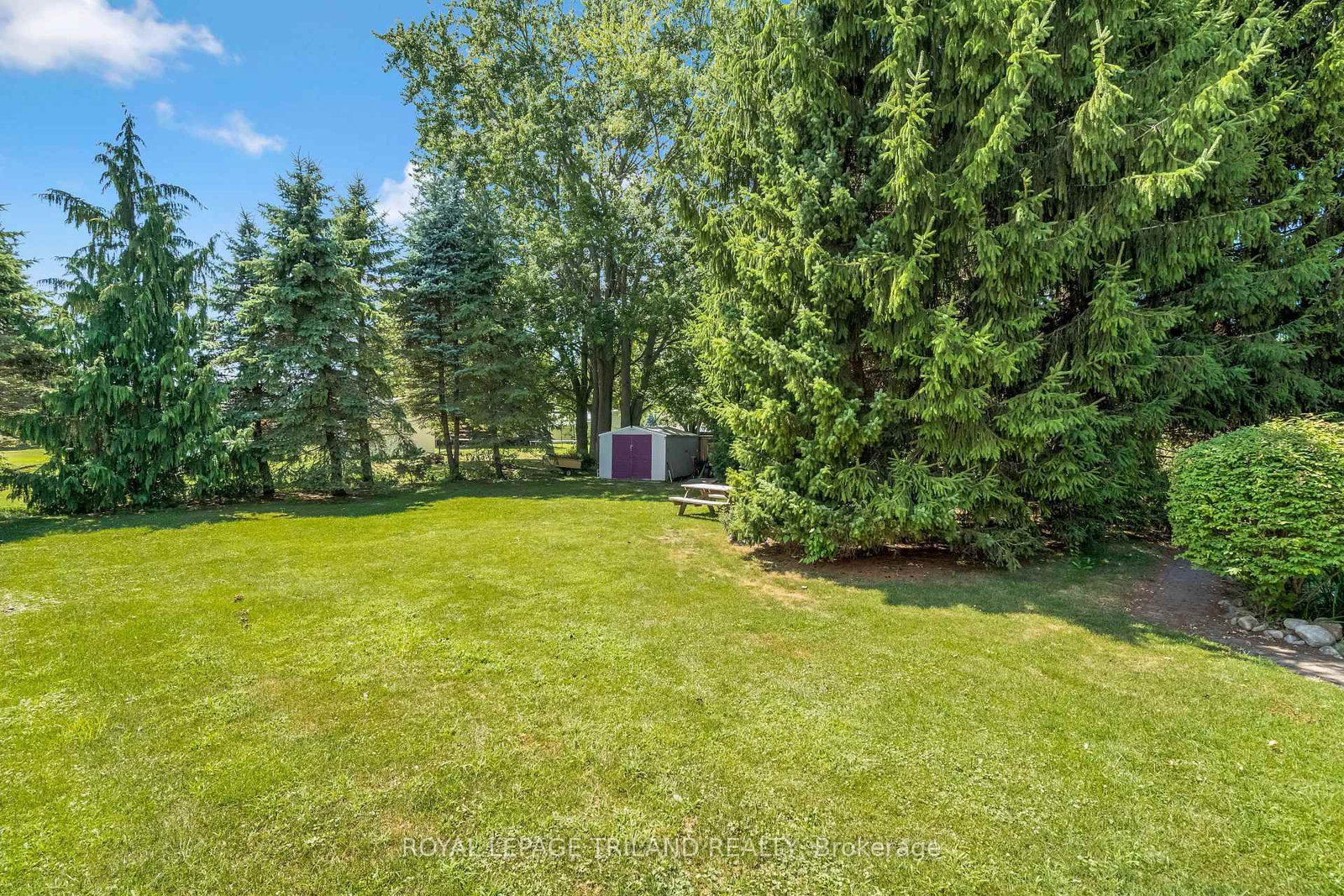 23 DURHAM Street • Newbury, ON photo 42