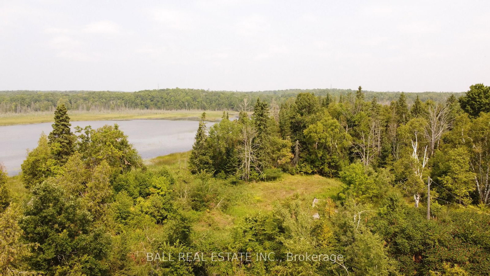 892 County Rd 40 • Douro-Dummer, ON photo 10