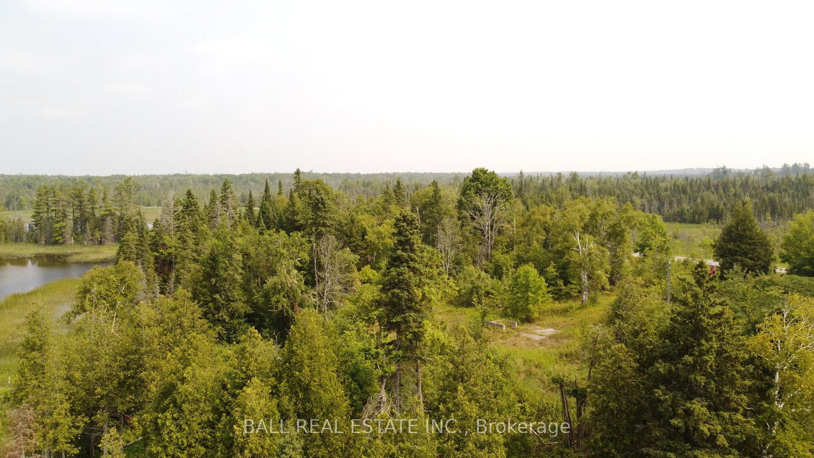 892 County Rd 40 • Douro-Dummer, ON photo 11