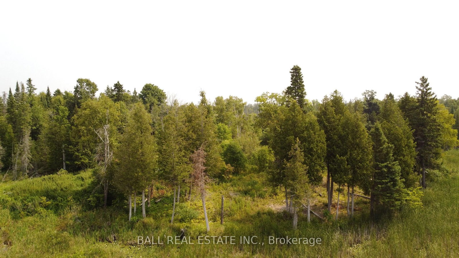 892 County Rd 40 • Douro-Dummer, ON photo 12