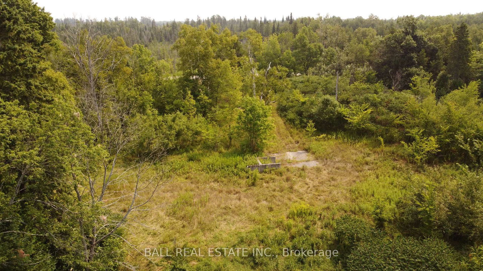 892 County Rd 40 • Douro-Dummer, ON photo 13