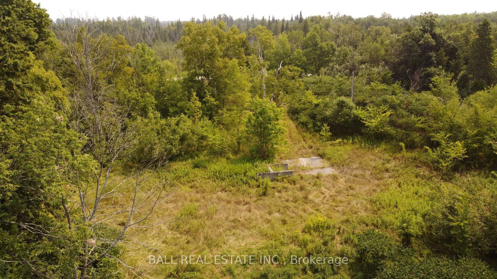 892 County Rd 40 • Douro-Dummer, ON photo 14