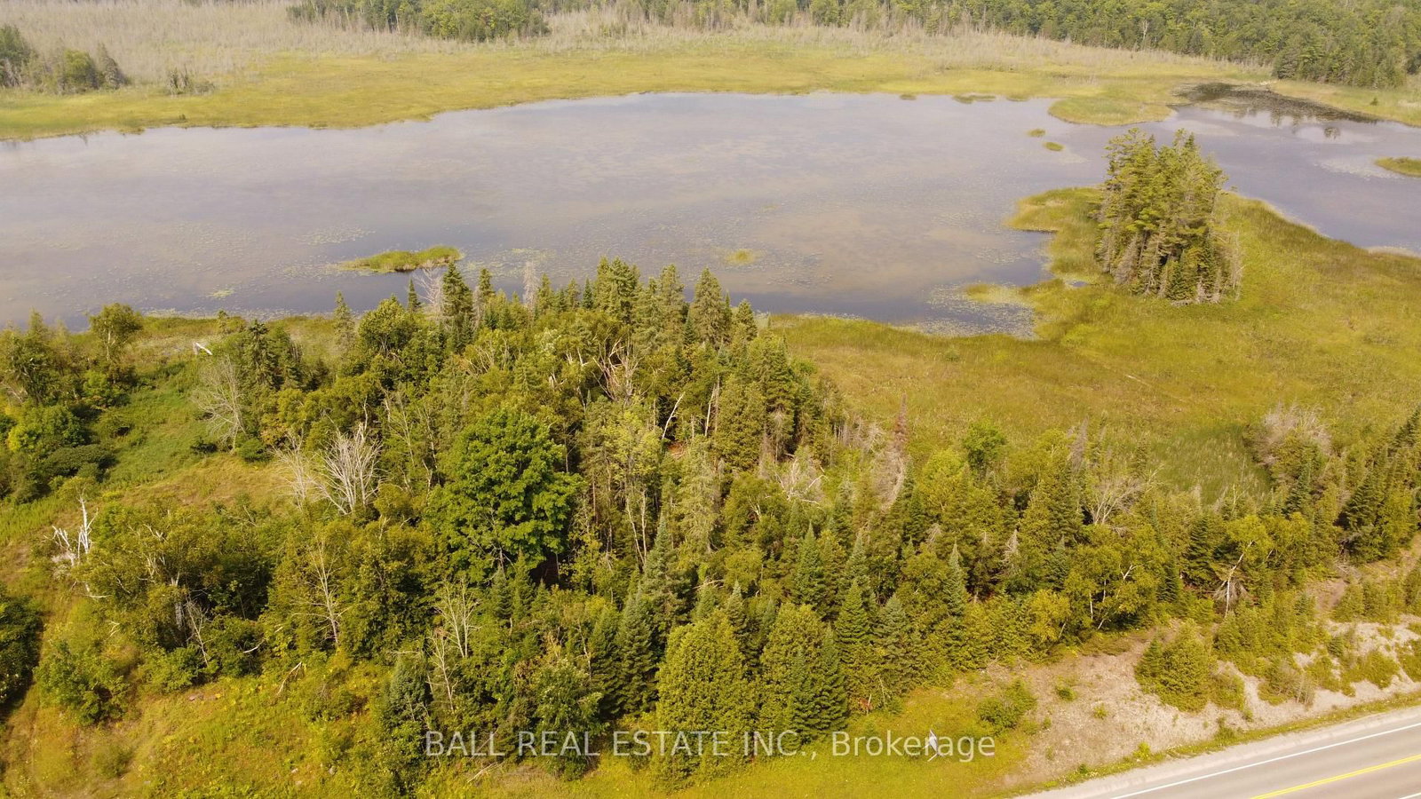 892 County Rd 40 • Douro-Dummer, ON photo 3