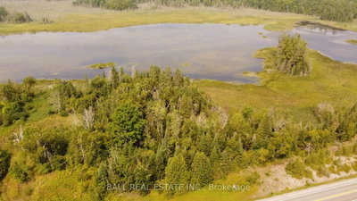 892 County Rd 40 • Douro-Dummer, ON photo 3