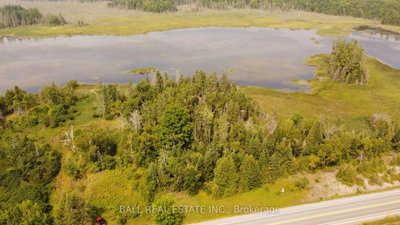 892 County Rd 40 • Douro-Dummer, ON photo 4