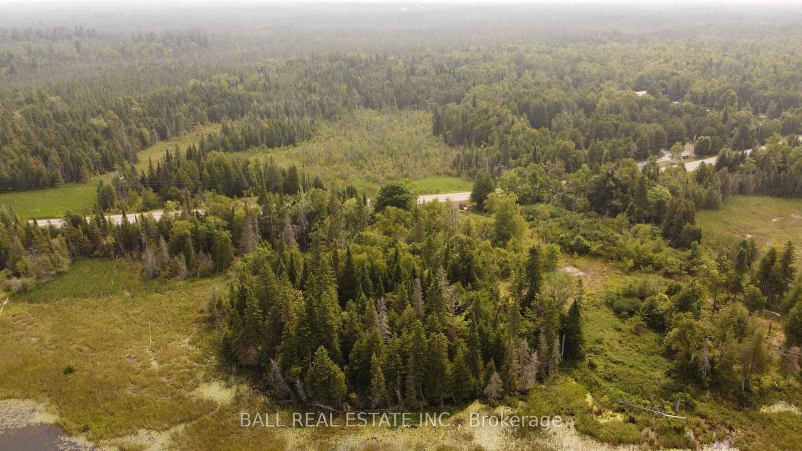 892 County Rd 40 • Douro-Dummer, ON photo 5