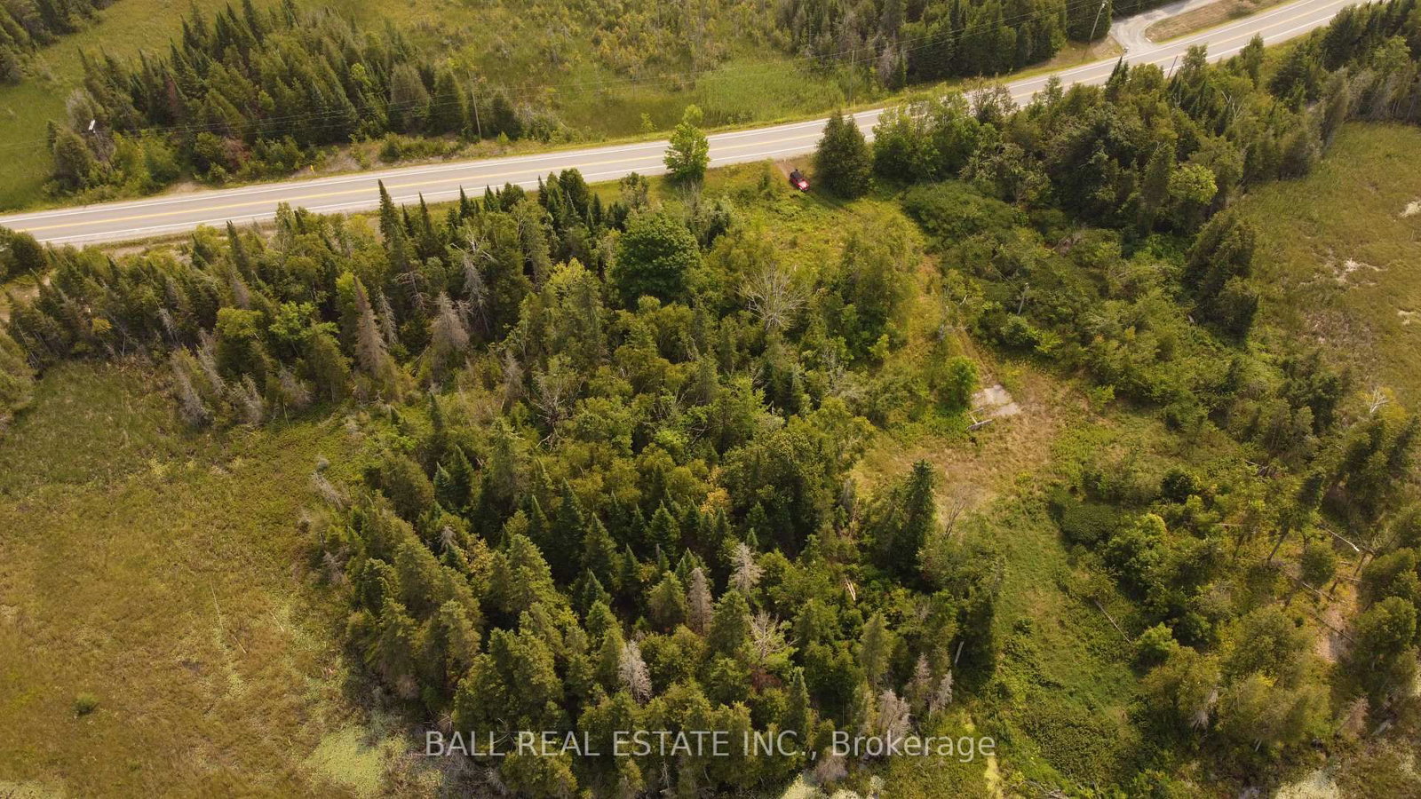 892 County Rd 40 • Douro-Dummer, ON photo 6