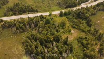 892 County Rd 40 • Douro-Dummer, ON photo 7
