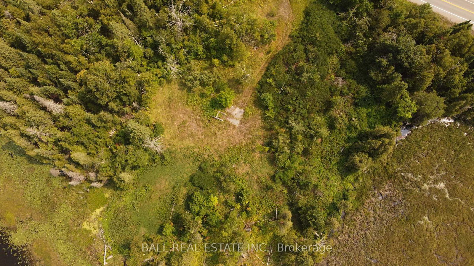 892 County Rd 40 • Douro-Dummer, ON photo 9