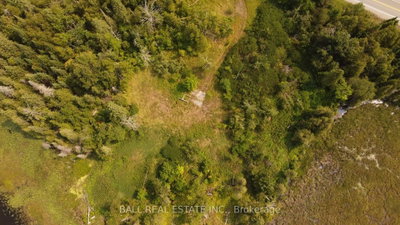 892 County Rd 40 • Douro-Dummer, ON photo 9
