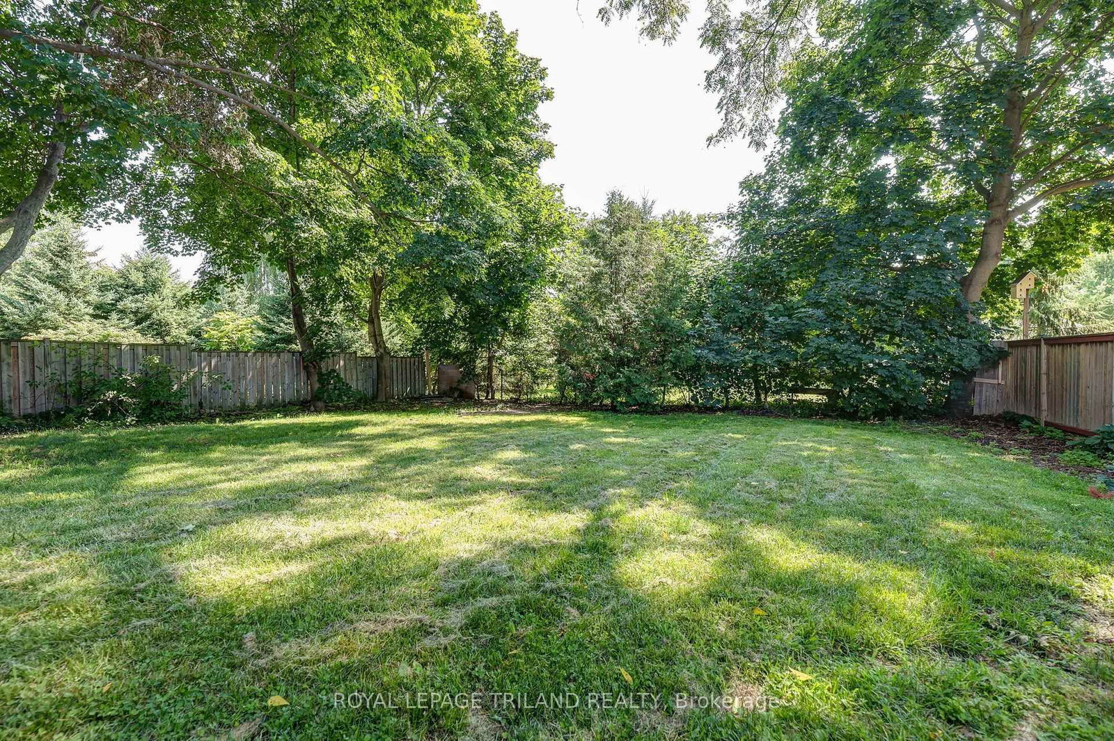 Listing Image 37