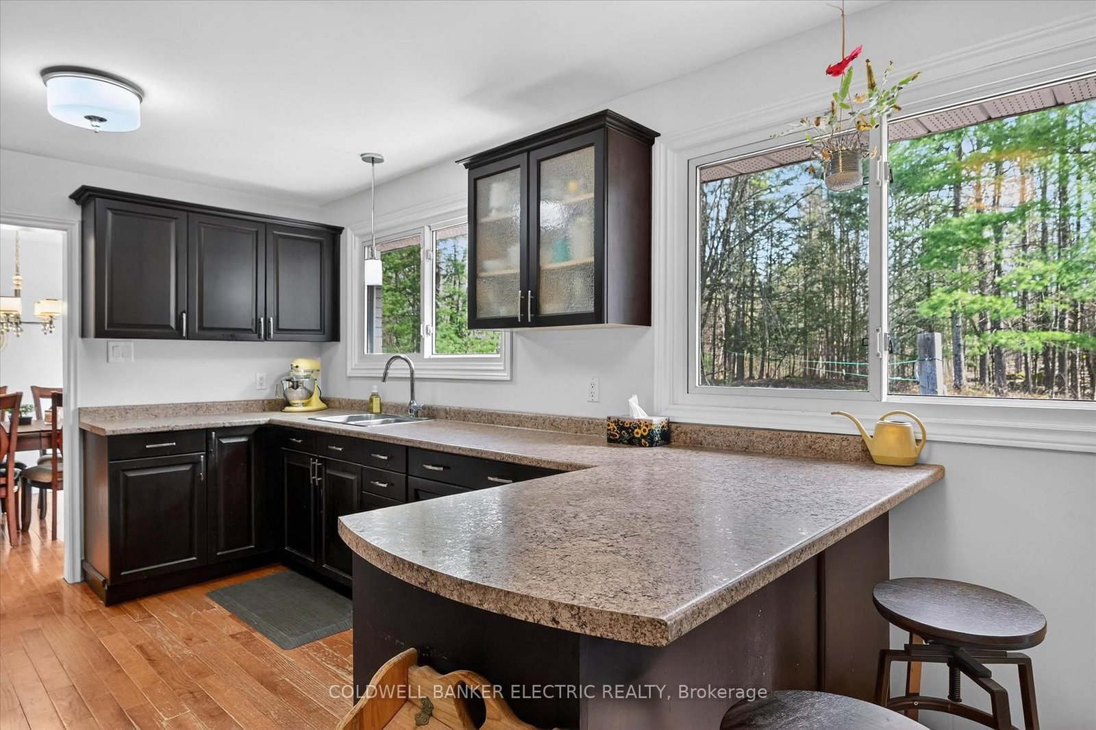 517 2nd Line Belmont • Havelock-Belmont-Methuen, ON photo 2