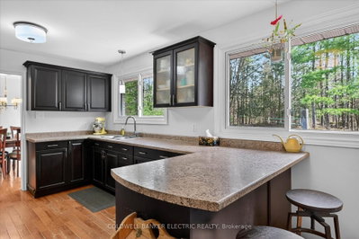 517 2nd Line Belmont • Havelock-Belmont-Methuen, ON photo 2