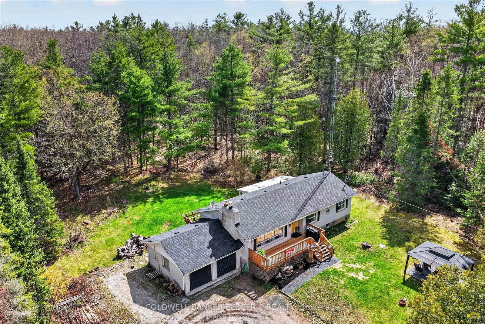 517 2nd Line Belmont • Havelock-Belmont-Methuen, ON photo 2
