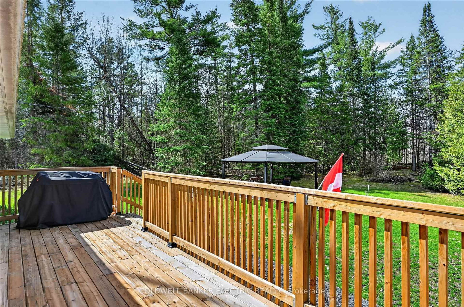 517 2nd Line Belmont • Havelock-Belmont-Methuen, ON photo 33