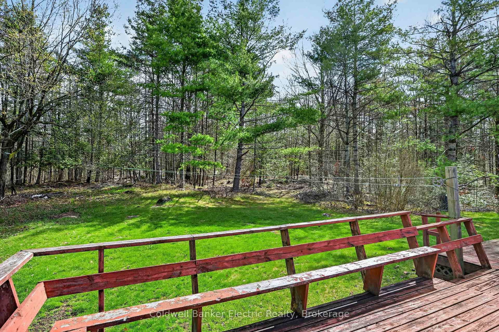 517 2nd Line Belmont • Havelock-Belmont-Methuen, ON photo 40