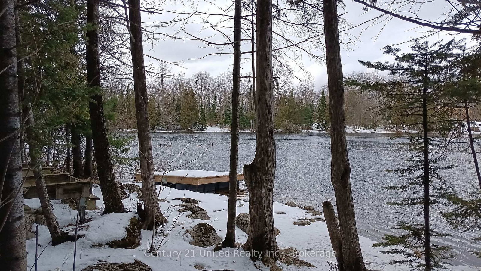 Listing Image 43