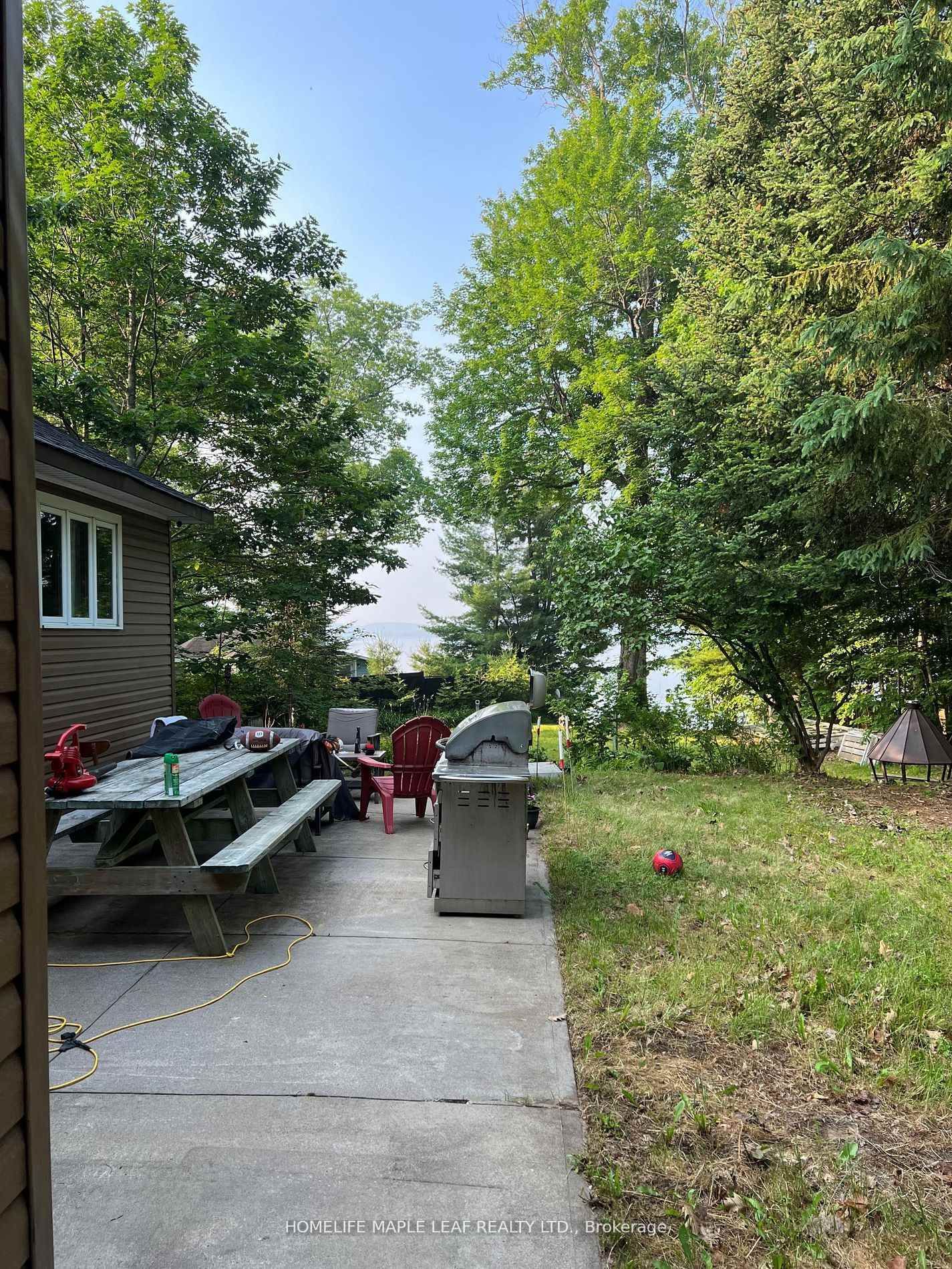16431 Hwy 35 • Algonquin Highlands, ON photo 20