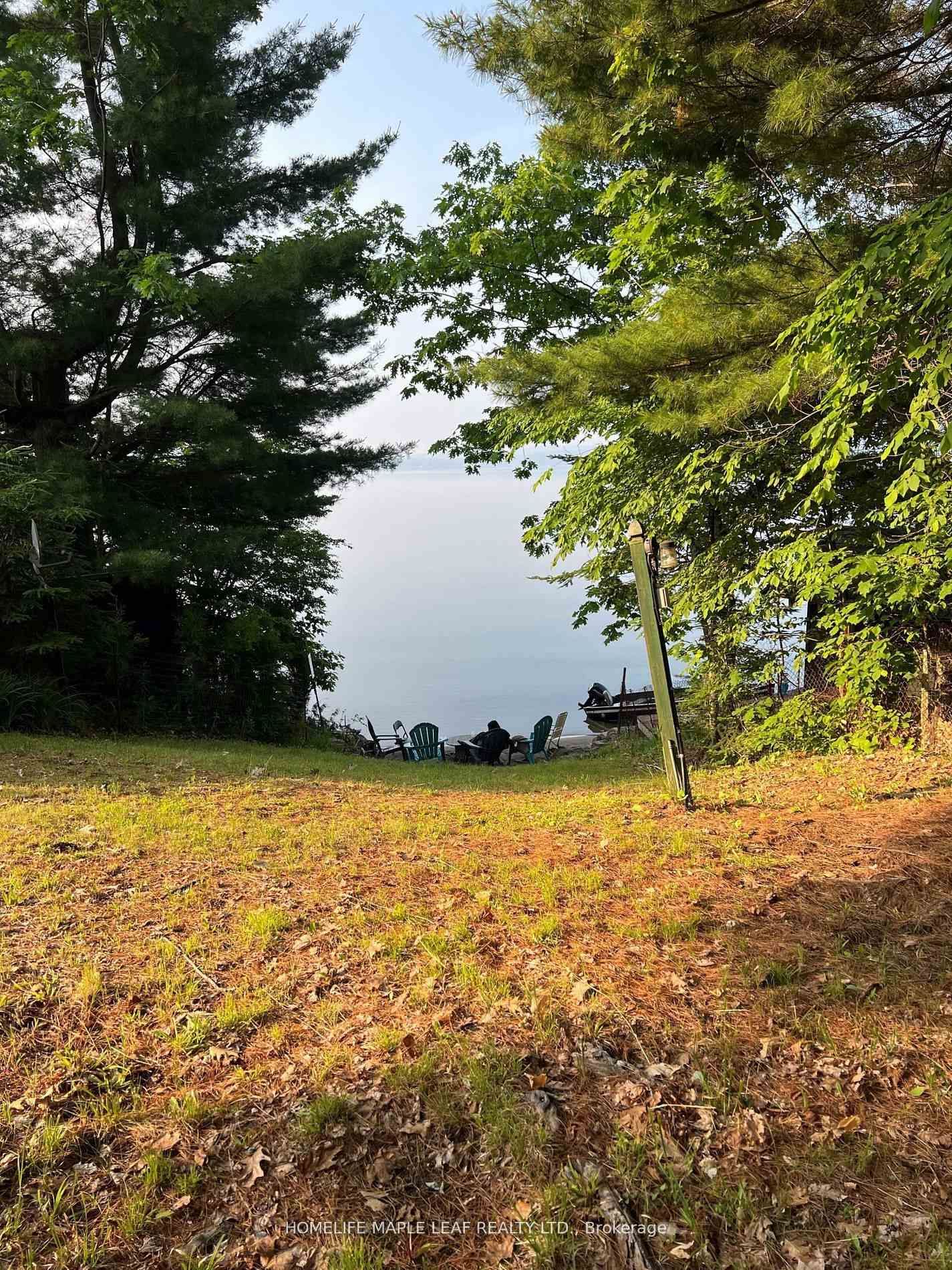 16431 Hwy 35 • Algonquin Highlands, ON photo 24