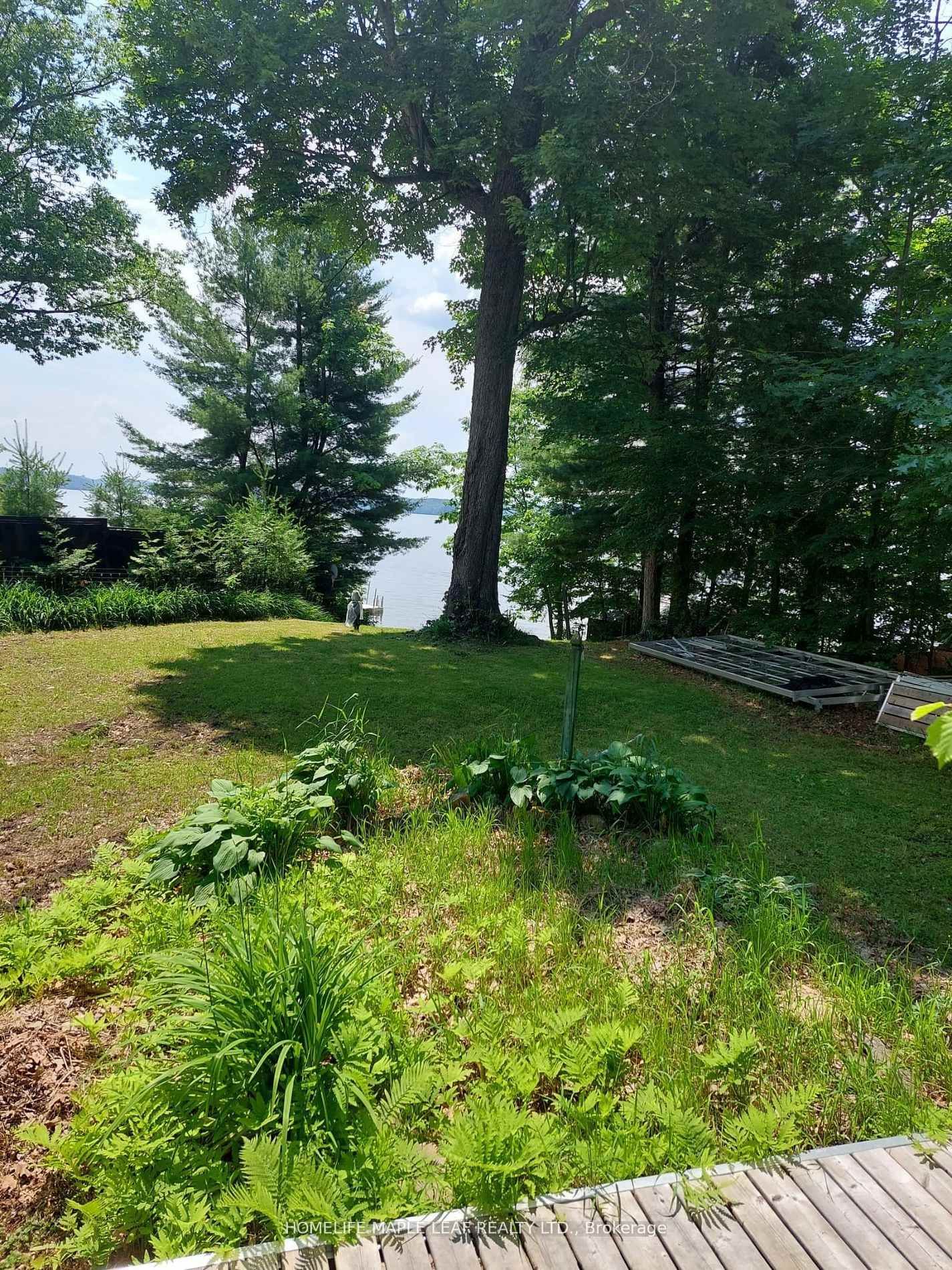 16431 Hwy 35 • Algonquin Highlands, ON photo 25