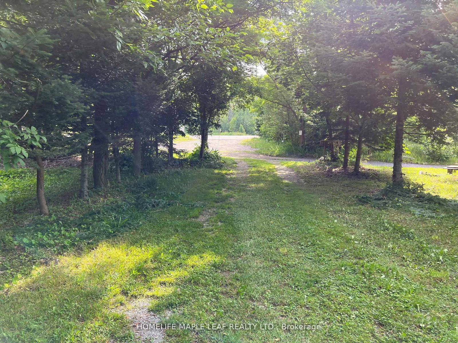 16431 Hwy 35 • Algonquin Highlands, ON photo 26