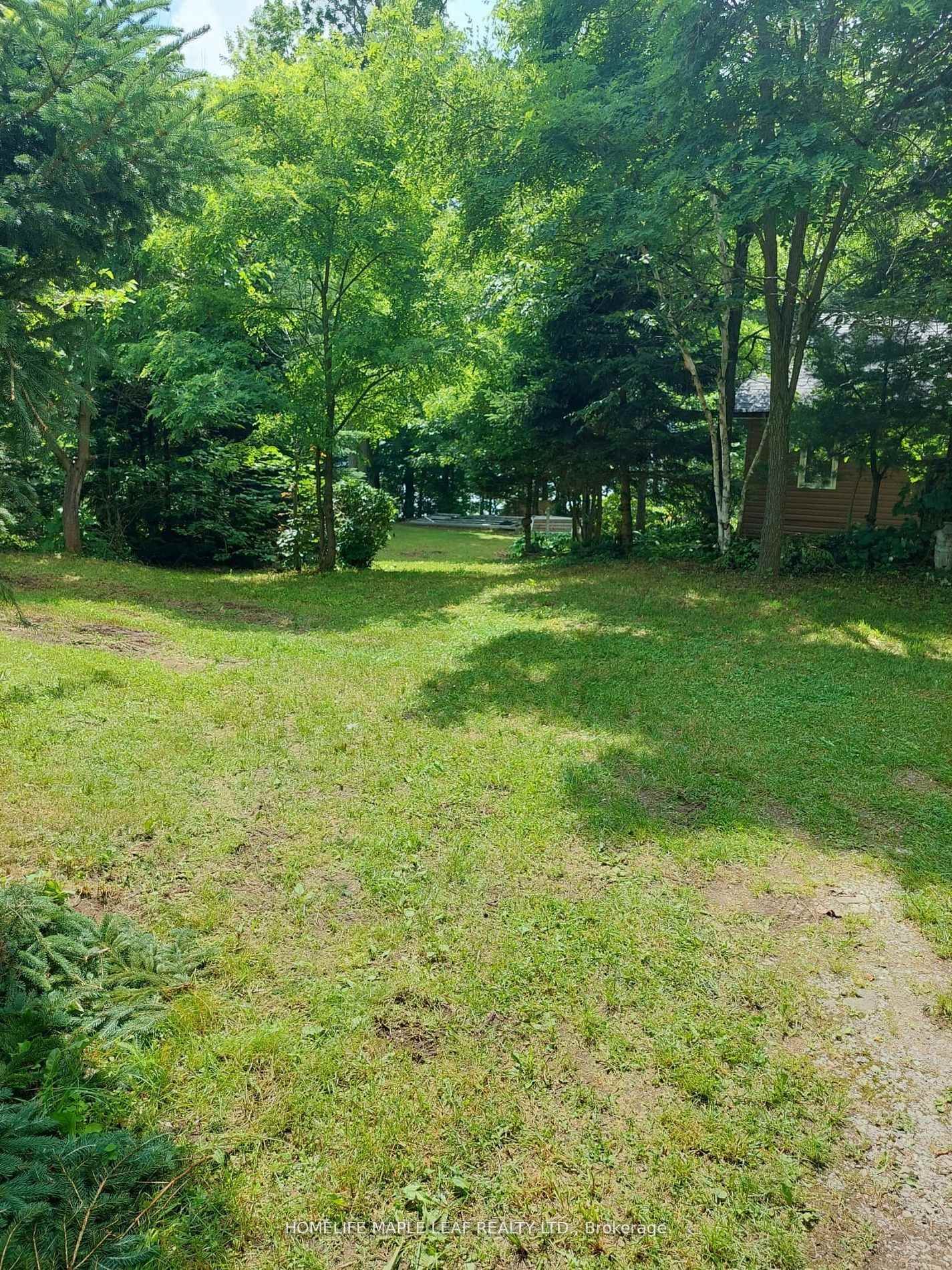16431 Hwy 35 • Algonquin Highlands, ON photo 28