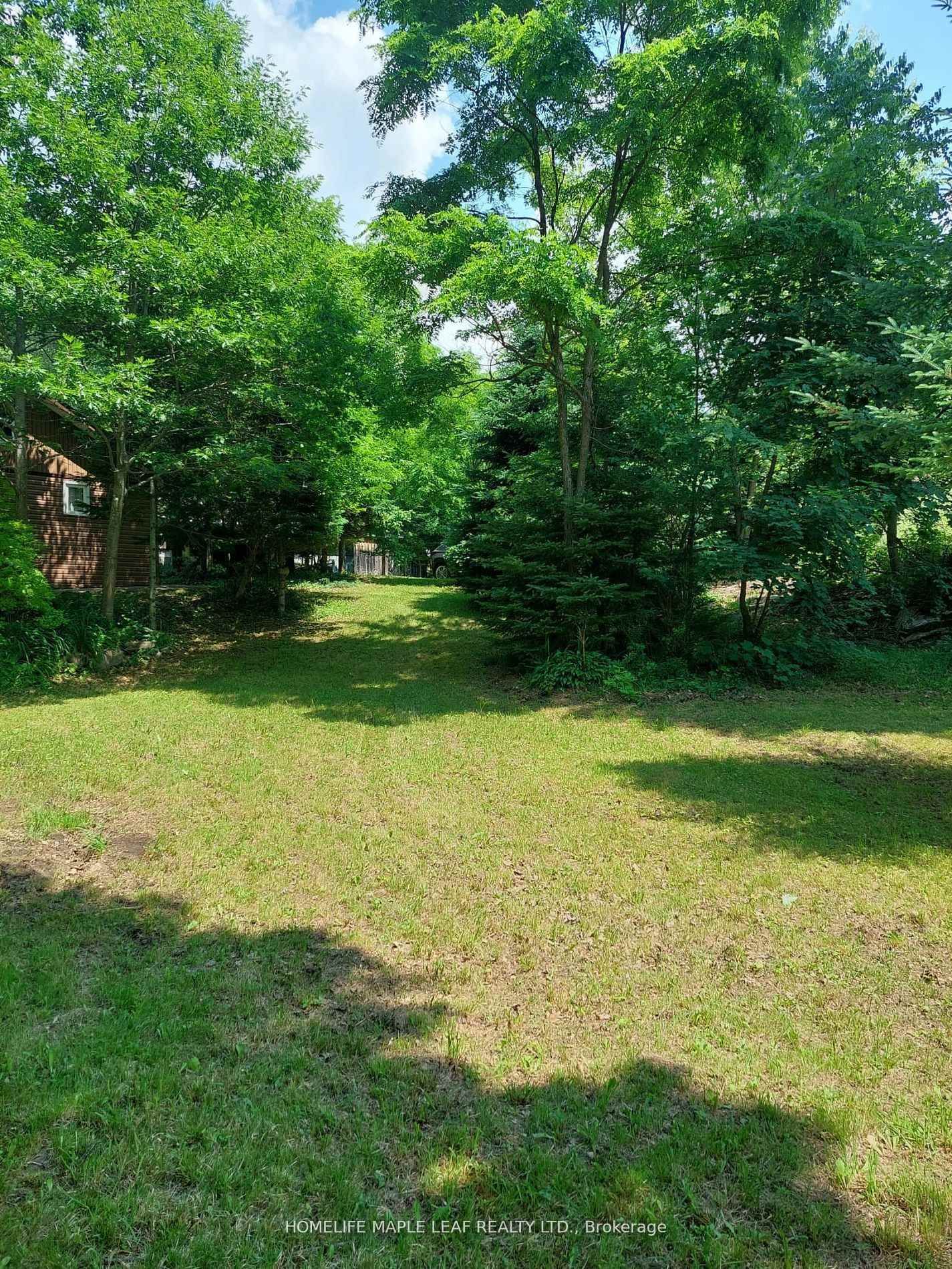 16431 Hwy 35 • Algonquin Highlands, ON photo 32