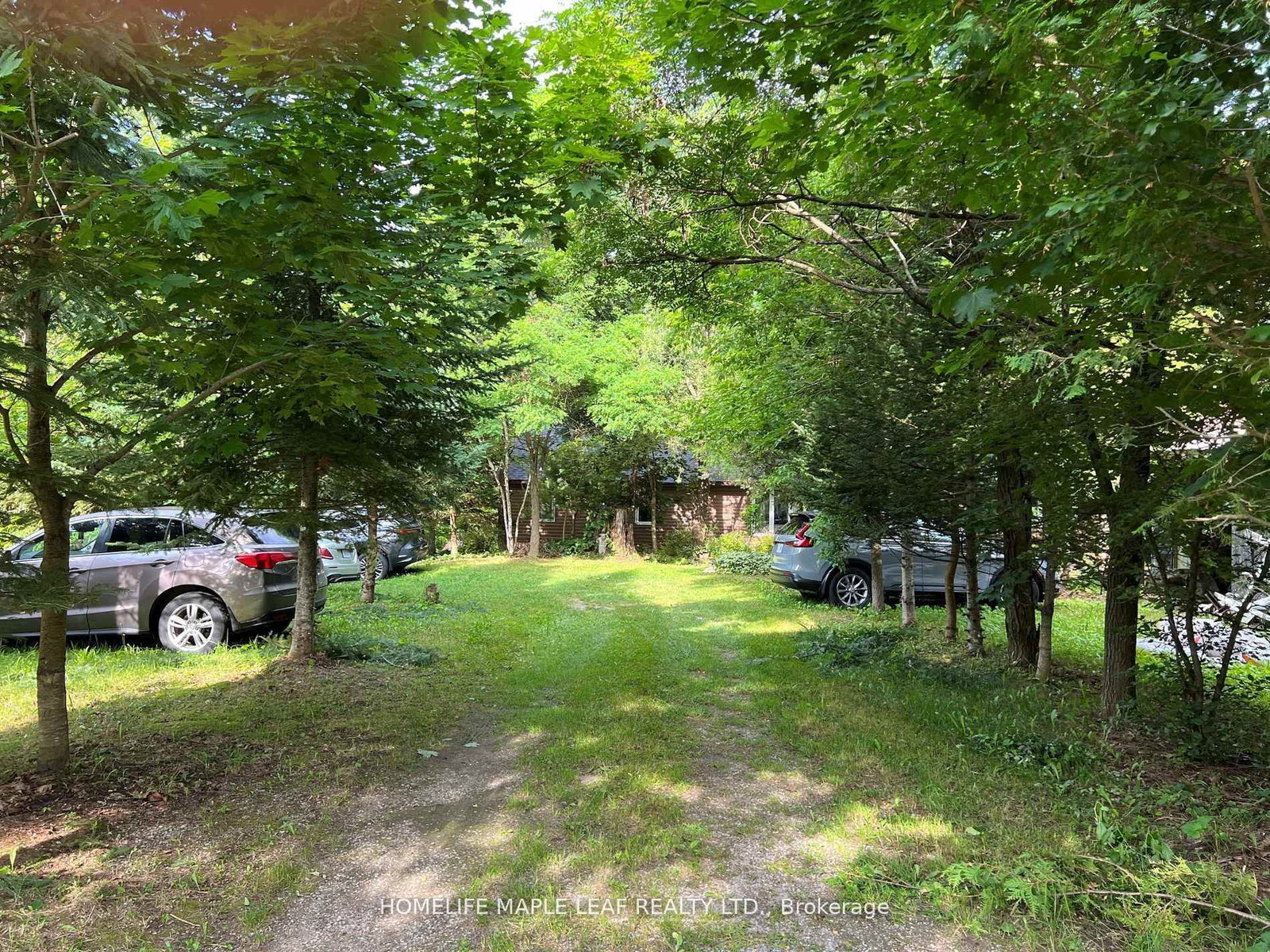 16431 Hwy 35 • Algonquin Highlands, ON photo 33