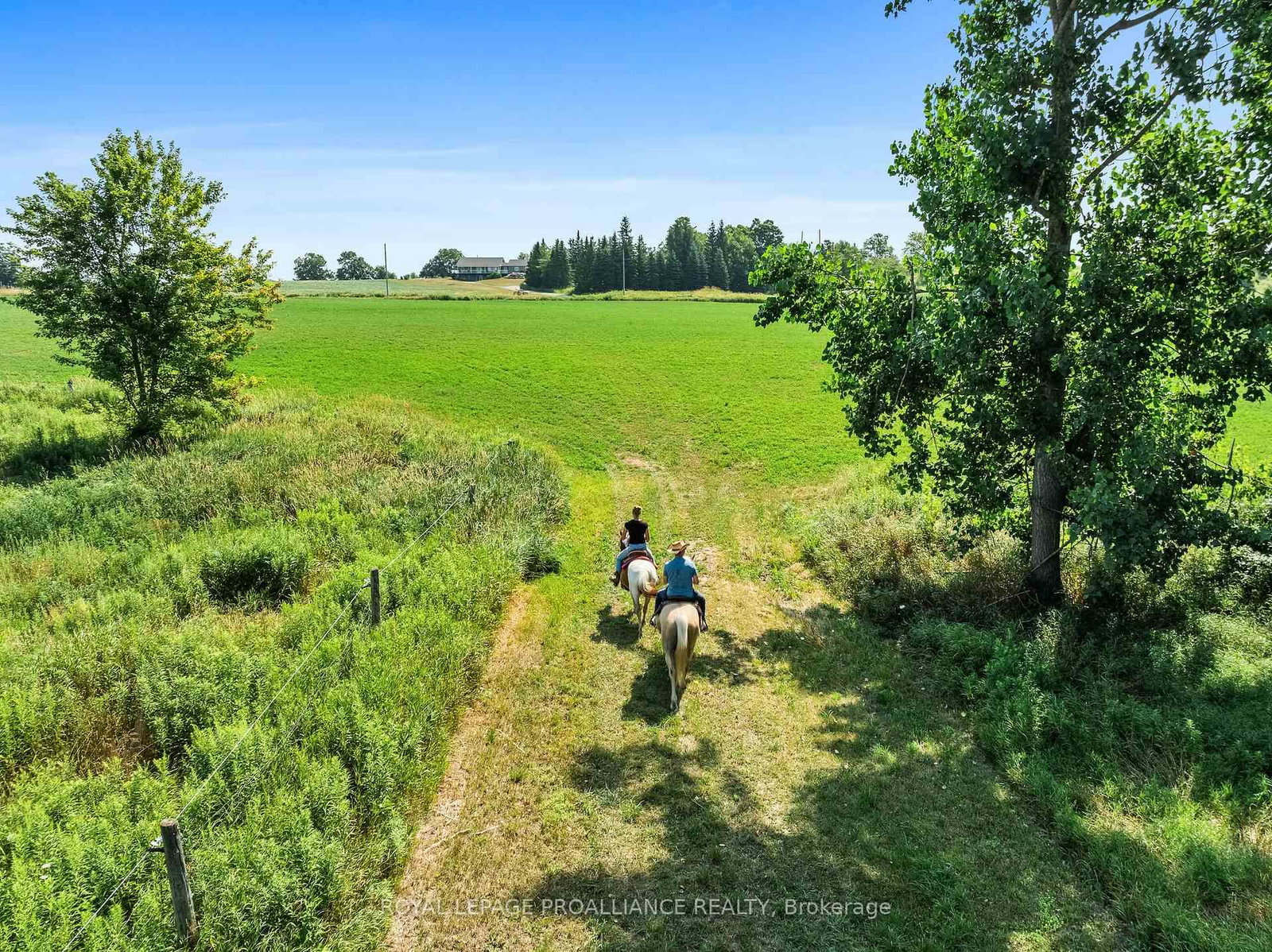 1526 County Road 2 • Otonabee-South Monaghan, ON photo 47
