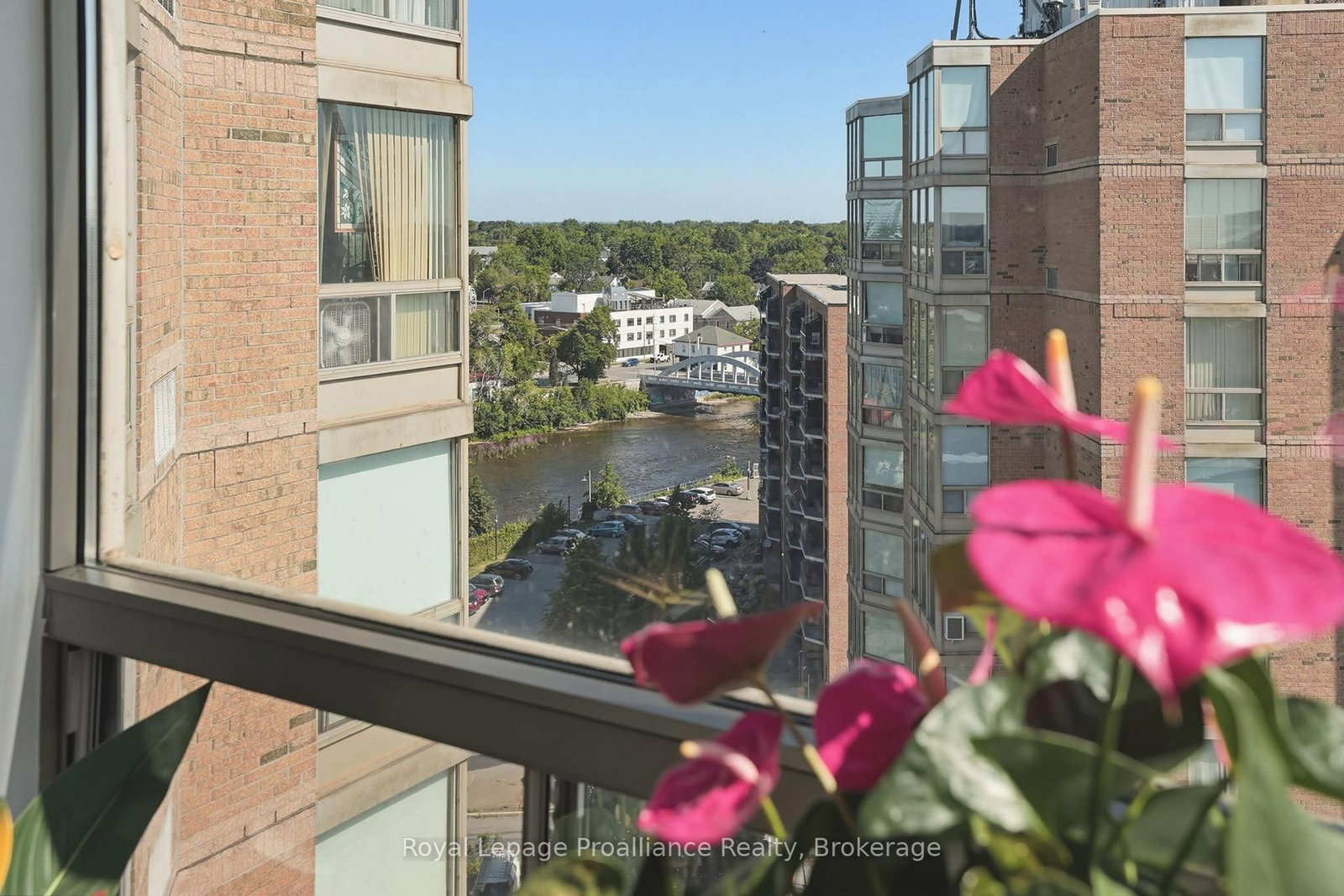 344 Front Street • #1205 • Belleville, ON photo 21