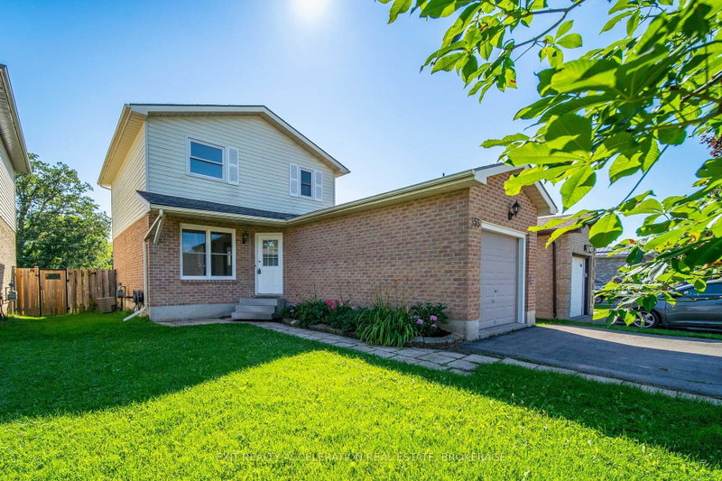 353 Ginger Street