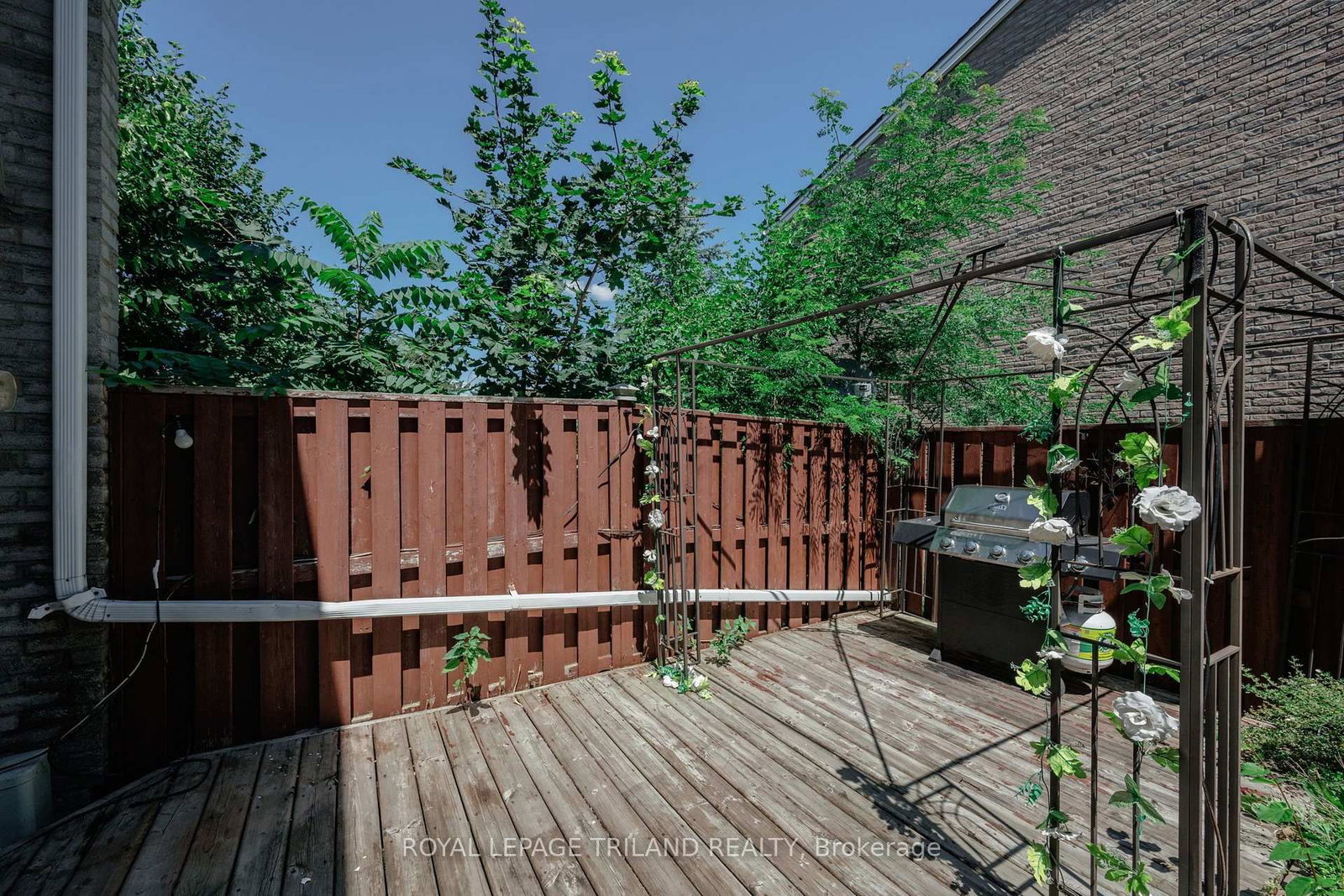 Listing Image 34