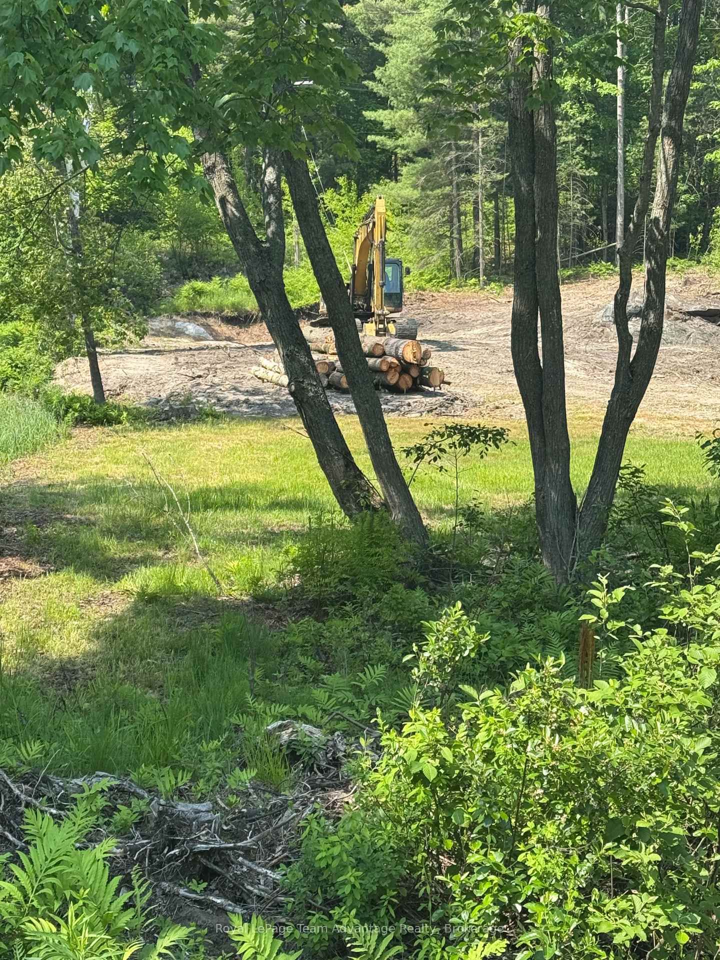 98 Louisa Street • Parry Sound, ON photo 5