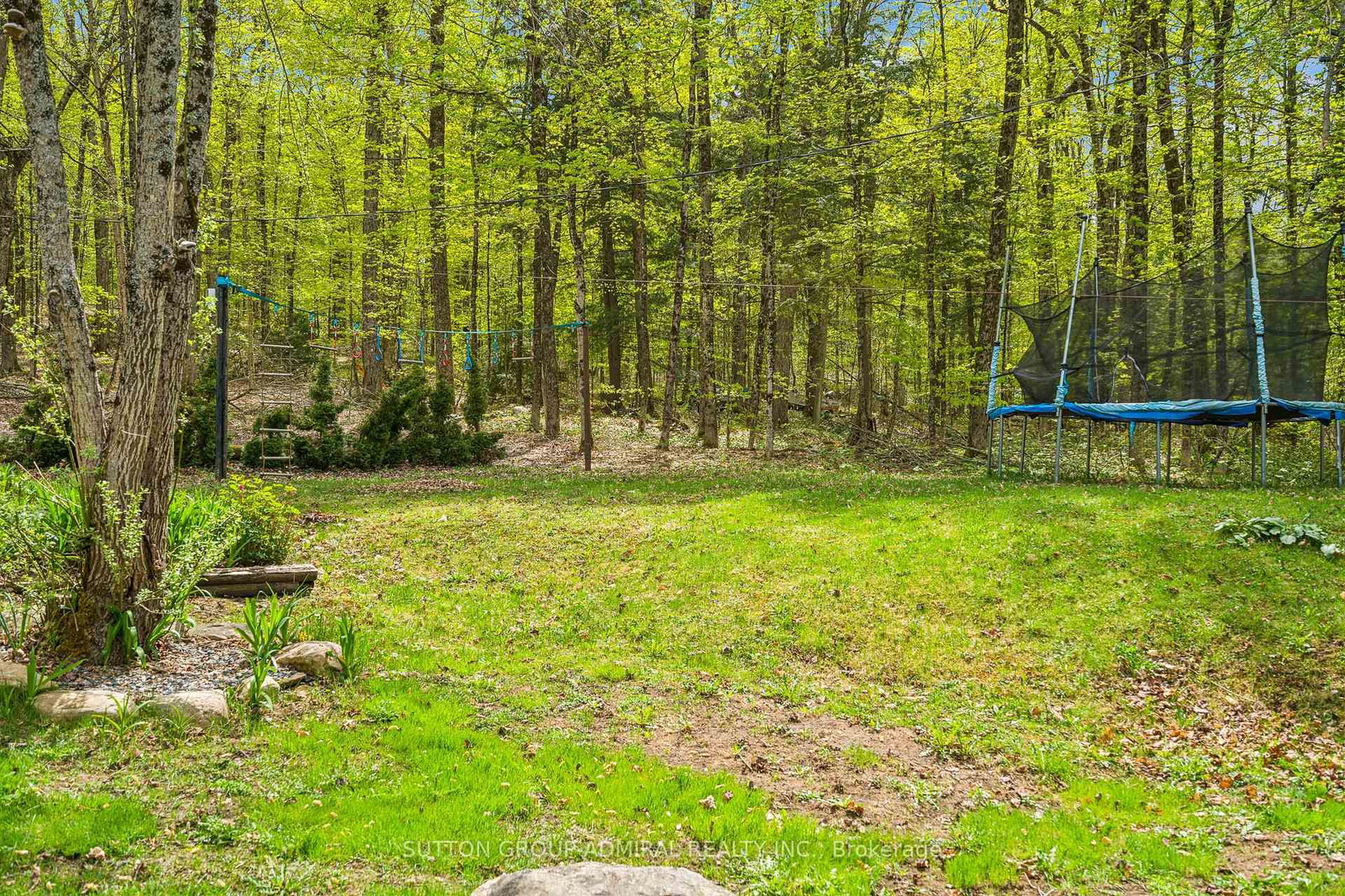 Listing Image 43